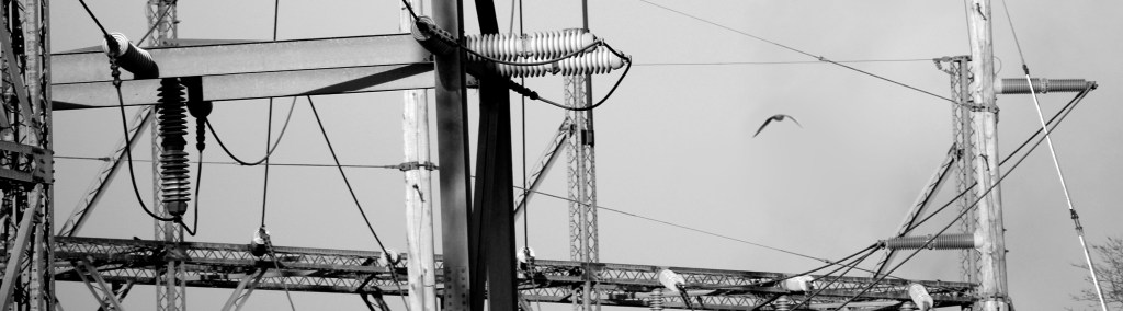 Peregrine falcon flying between high voltage wires.